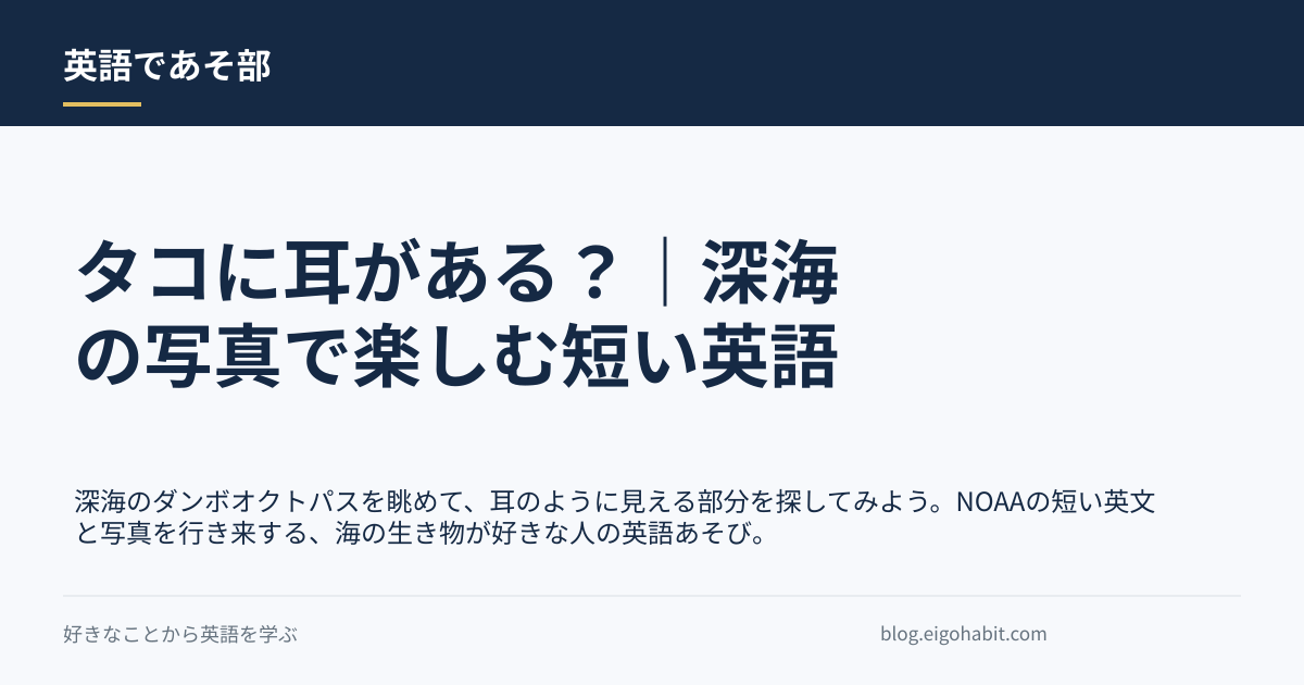 タコに耳がある?|深海の写真で楽しむ短い英語の記事タイトル画像
